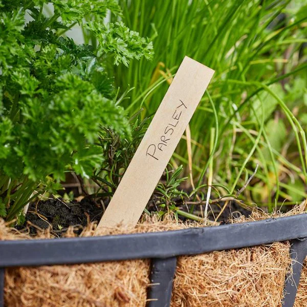 15cm Wooden Plant Labels - Pack of 40