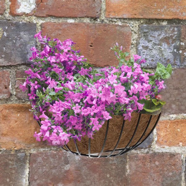 Smart Garden - 16in Smart Wall Basket - Image 2