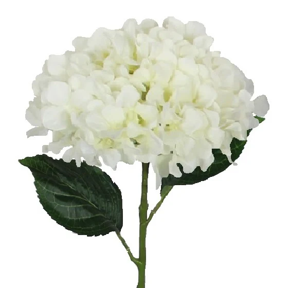 53cm Cream Hydrangea Flower Stem Artificial - Image 2