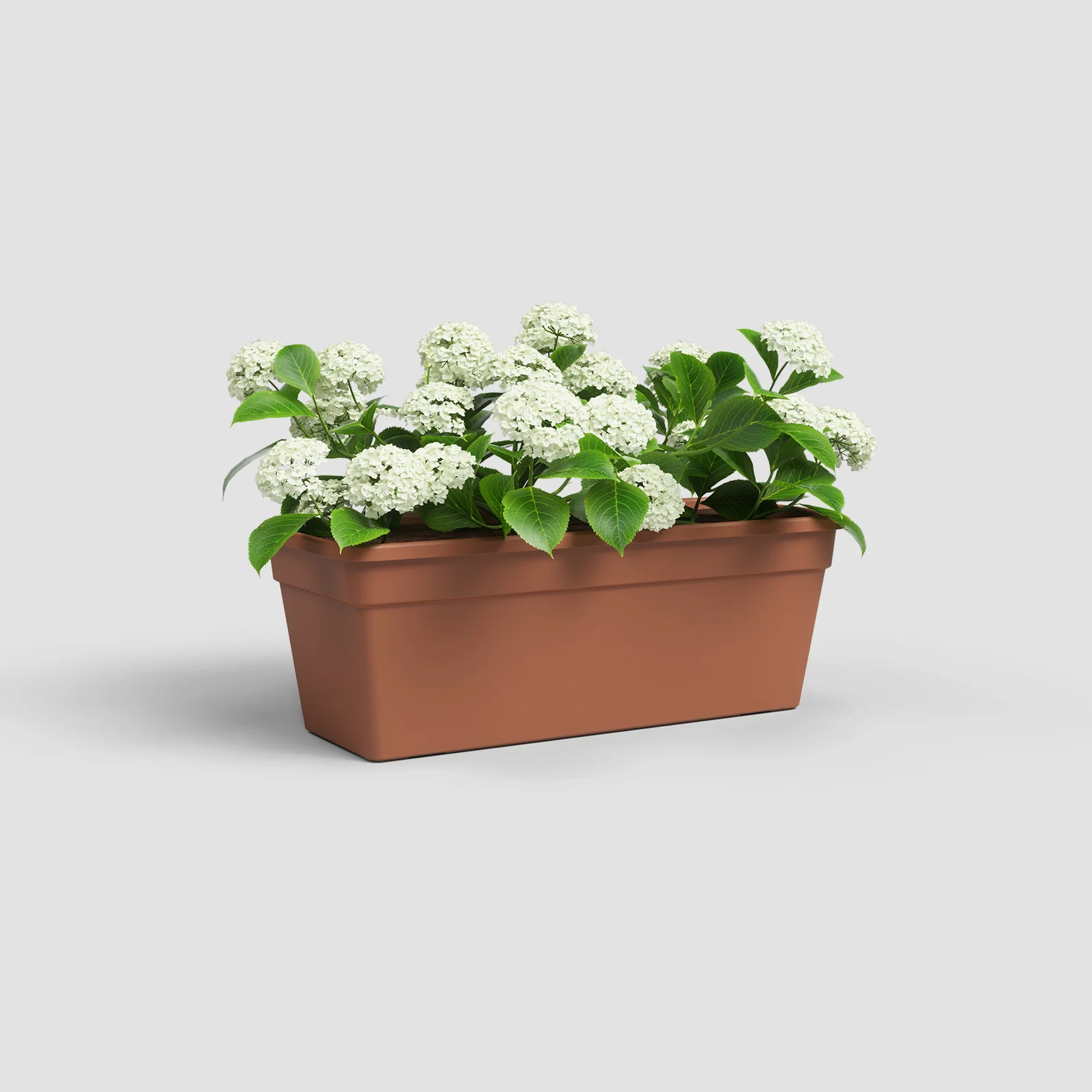 Artevasi Madagascar Plant Box- 60cm - Image 3