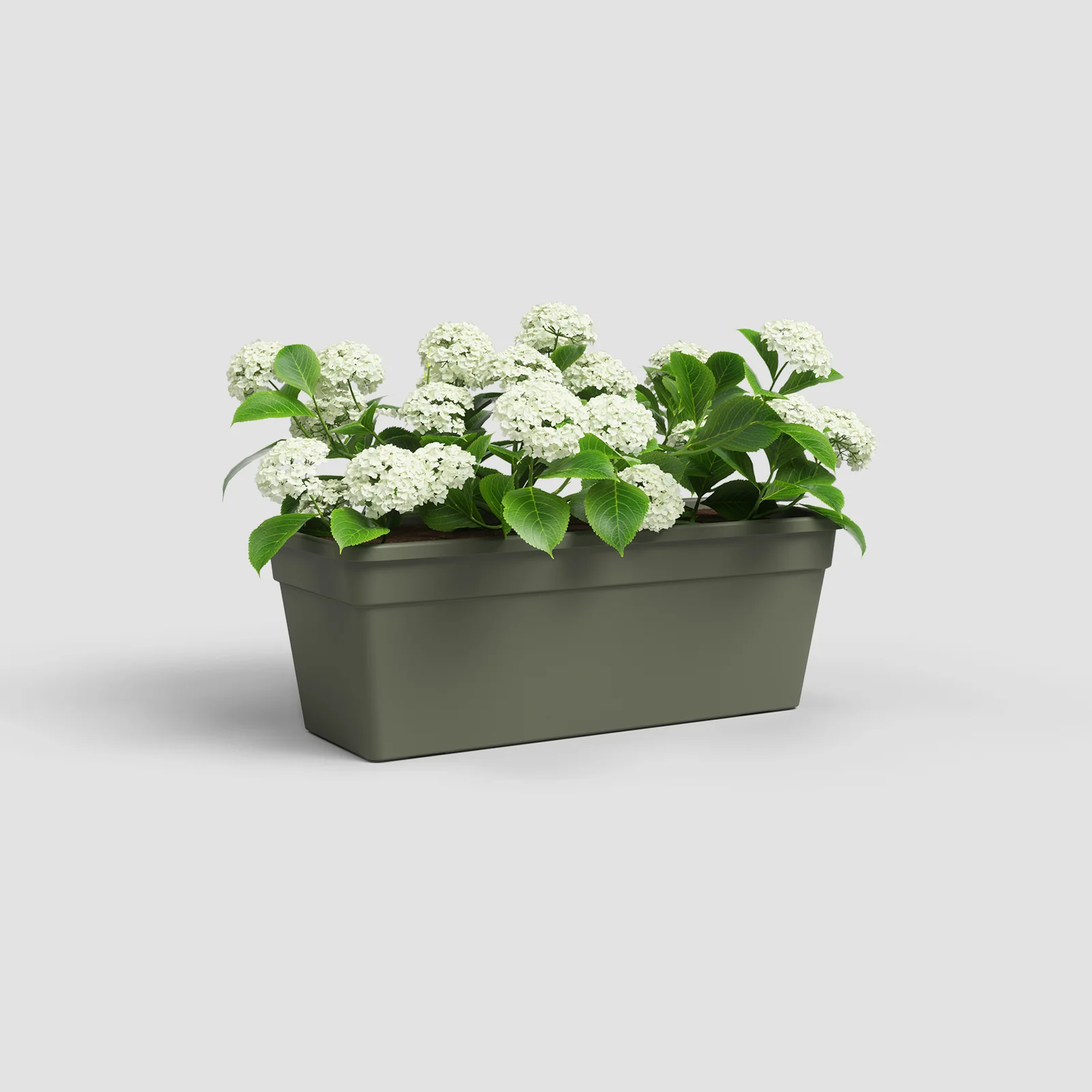 Artevasi Madagascar Plant Box- 60cm - Image 5