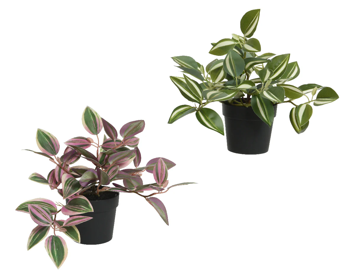 Artificial Potted Trailing Tradescantia House Plant - 20cm