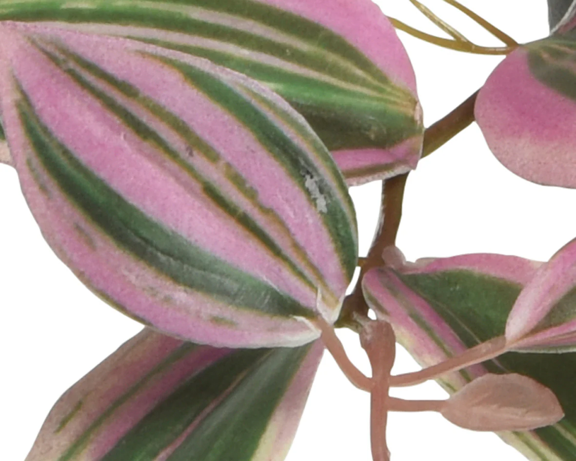 Artificial Potted Trailing Tradescantia House Plant - 20cm - Image 2