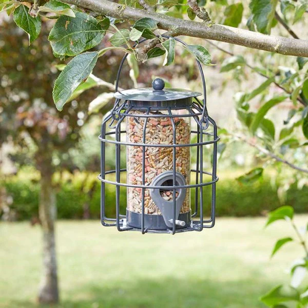 Compact Squirrel Proof Bird Seed Feeder