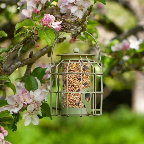 Compact Squirrel Proof Bird Seed Feeder - Image 2