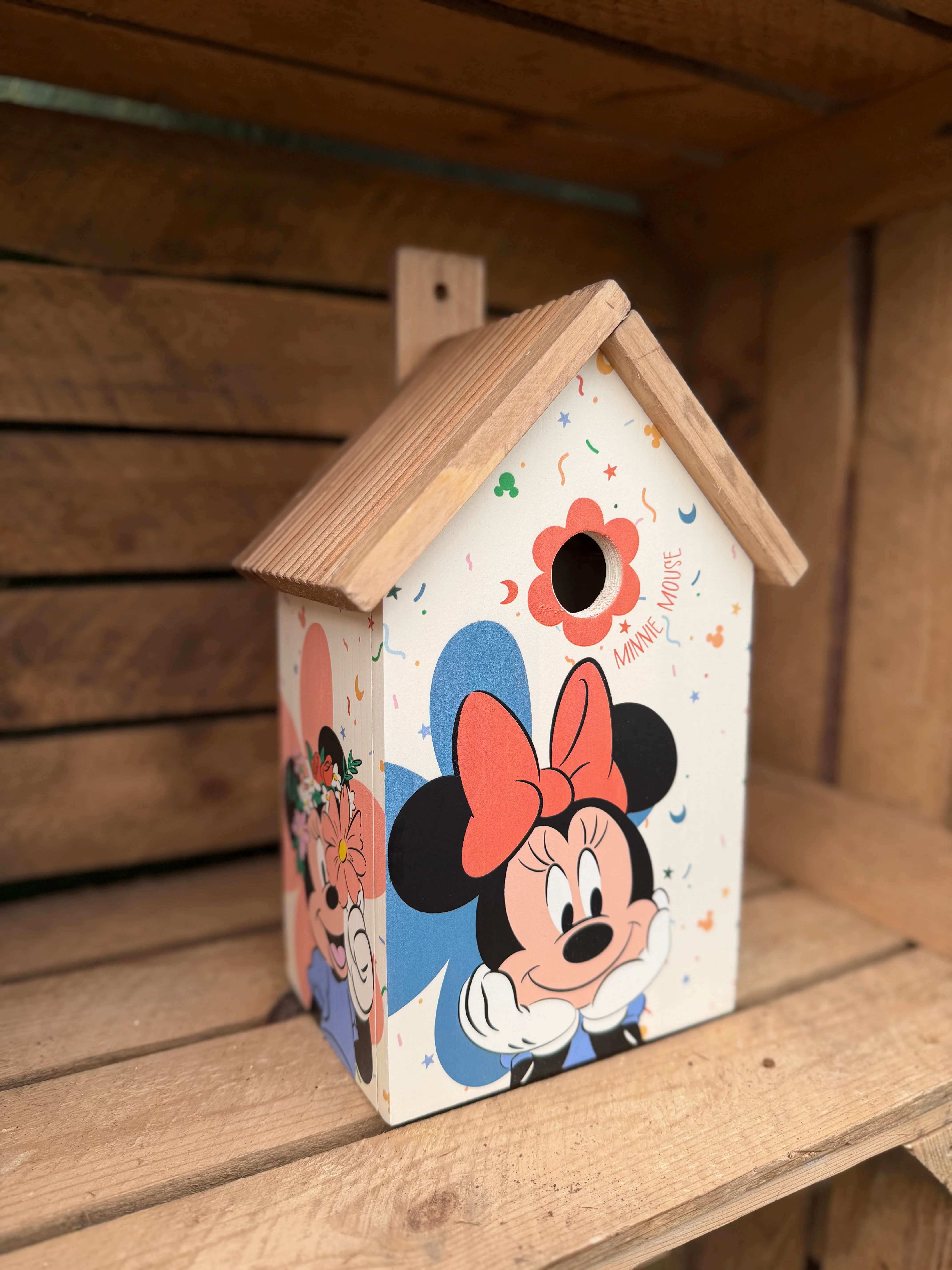 Disney Minnie Mouse Bird Wooden House