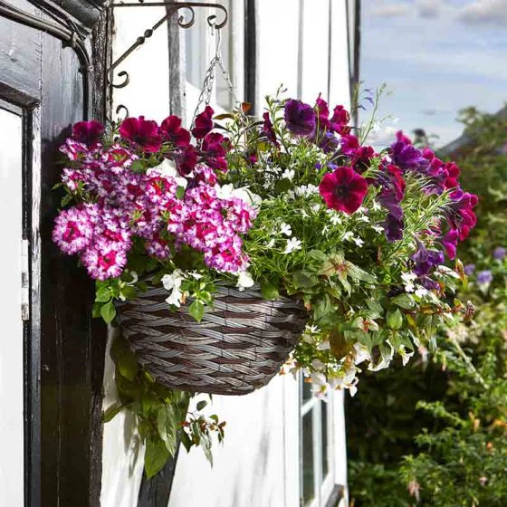 Faux Rattan Baskets 14 inch Pinto Faux Rattan Grey Hanging Basket