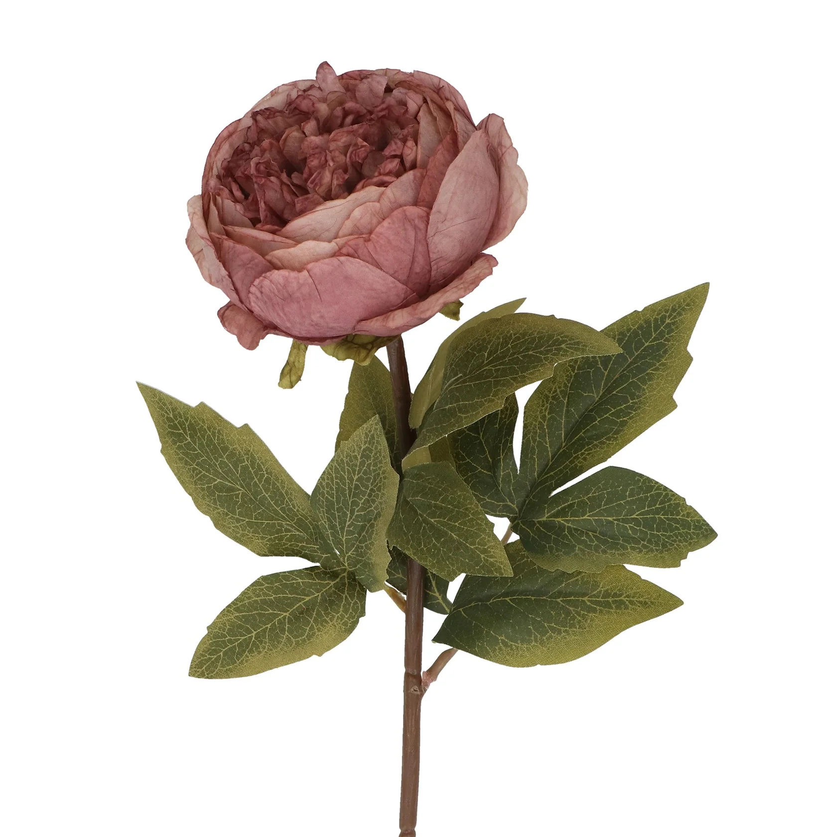 Gisela Graham - Dusky Mauve Peony - Stem 57cm