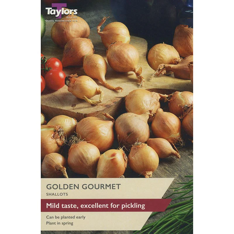 Taylors Bulbs Golden Gourmet 10 Shallots