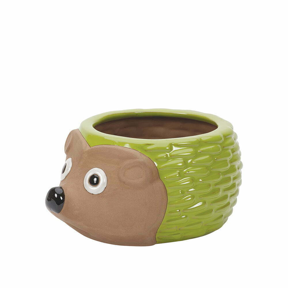Green Hedgehog Planter