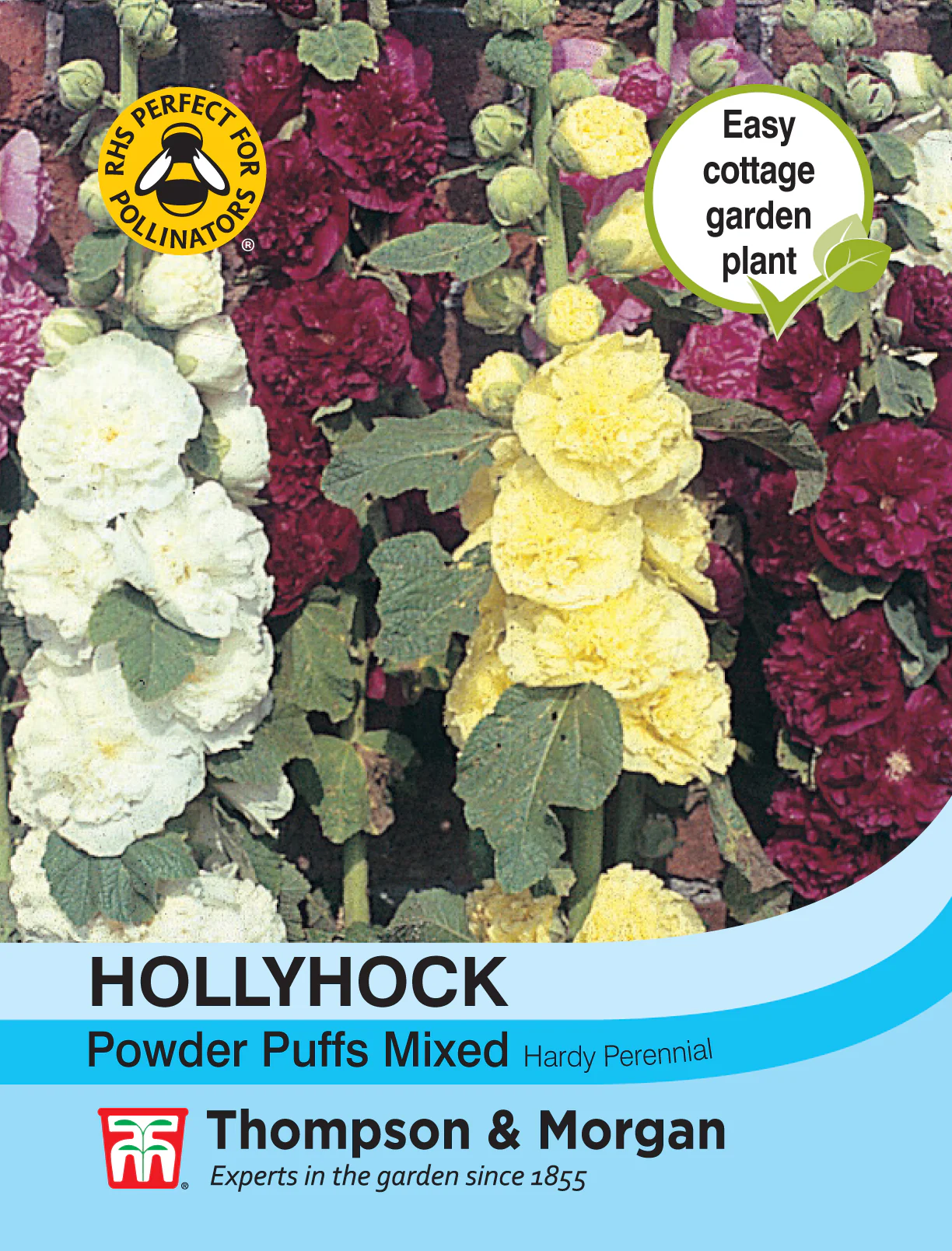 Hollyhock Powder Puffs Mixed- Pack of seeds