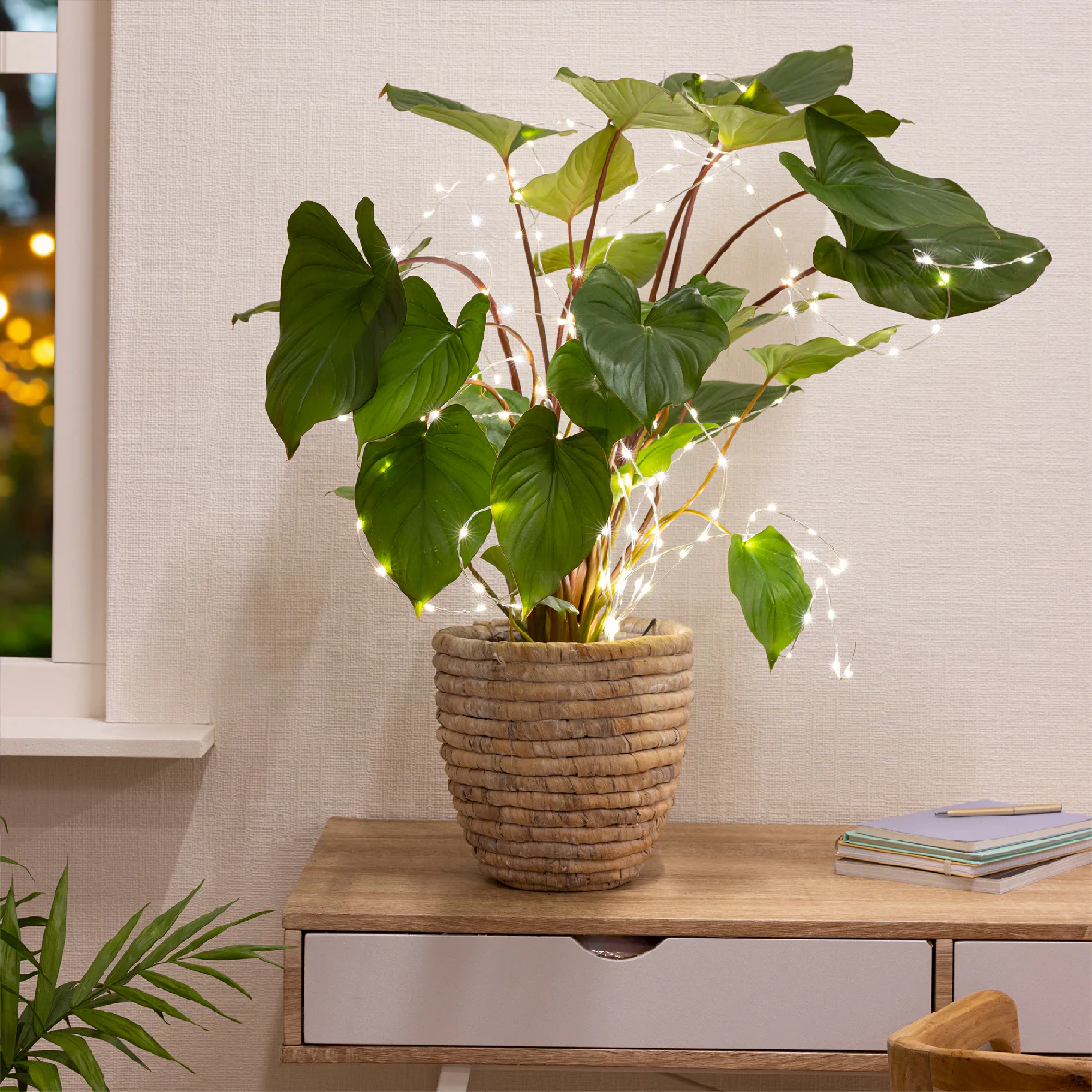 House Plant Bunch Warm White Pin Wire LED Lights Battery Operated - Indoor or Outdoor