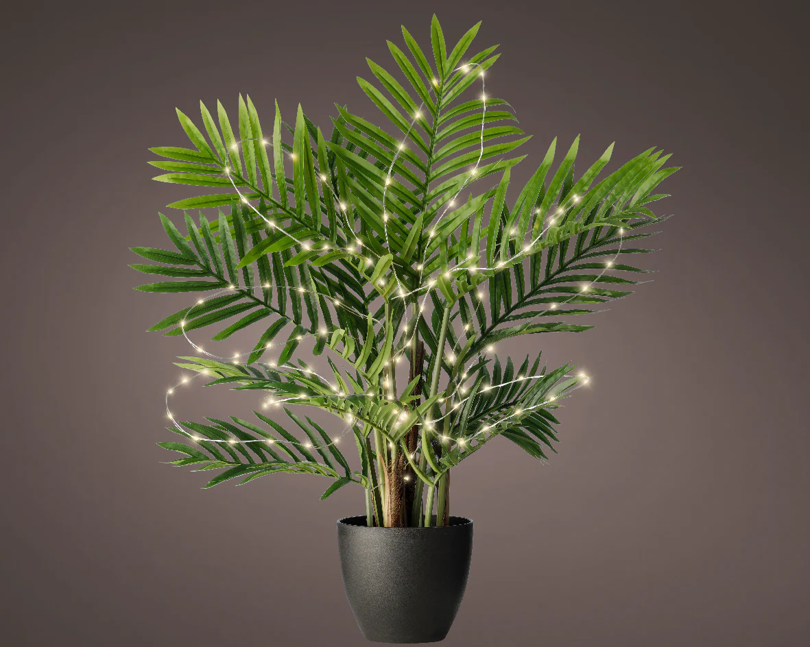 House Plant Bunch Warm White Pin Wire LED Lights Battery Operated - Indoor or Outdoor - Image 2