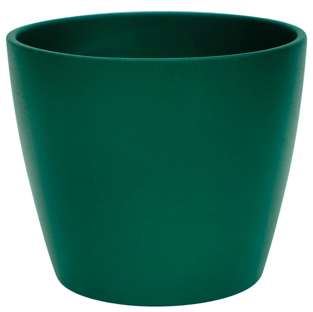 Ivyline - Emerald Green Poinsettia Planter House Plant Pot - D12cm