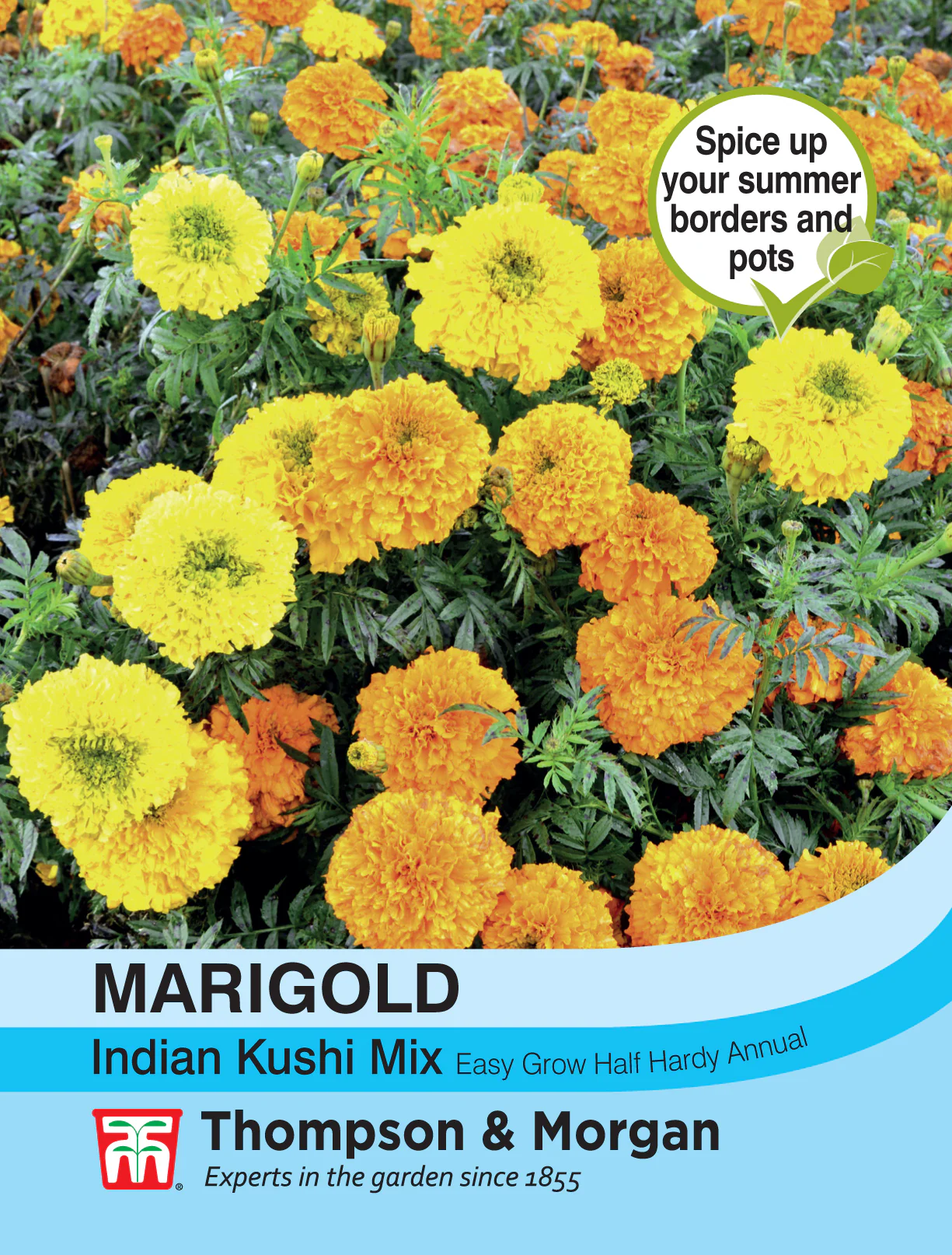 Marigold Indian Kushi Mix- Pack of seeds