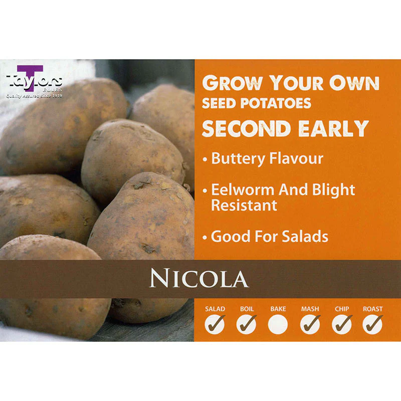 Taylors Bulbs - Nicola Second Early Seed Potatoes 2kg