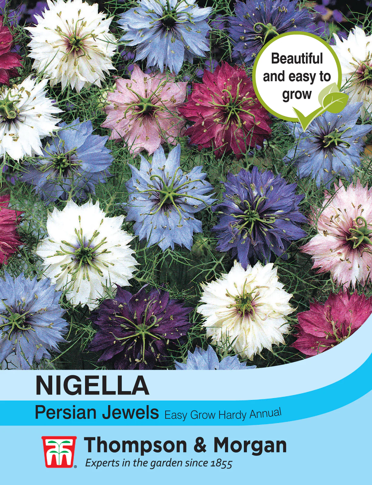Nigella Persian Jewels Mixed- Pack of seeds