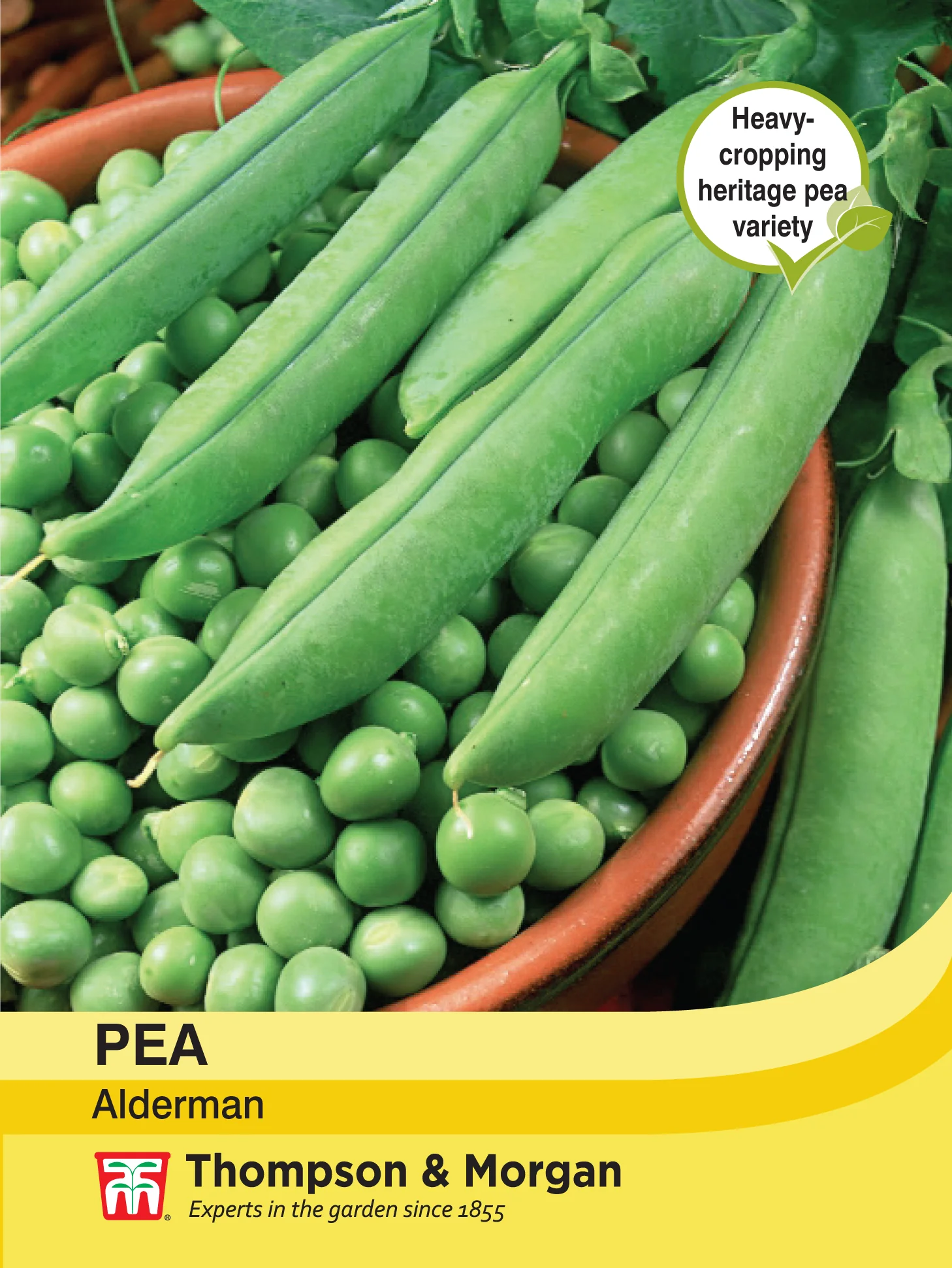 Pea Alderman- Pack of seeds