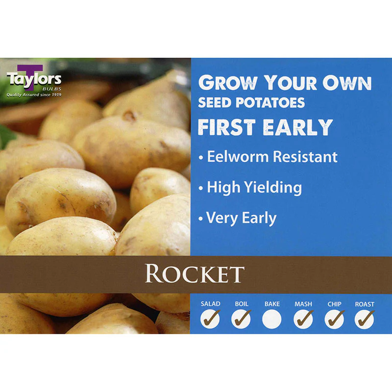 Taylors Bulbs - Rocket First Early Seed Potatoes - 2kg