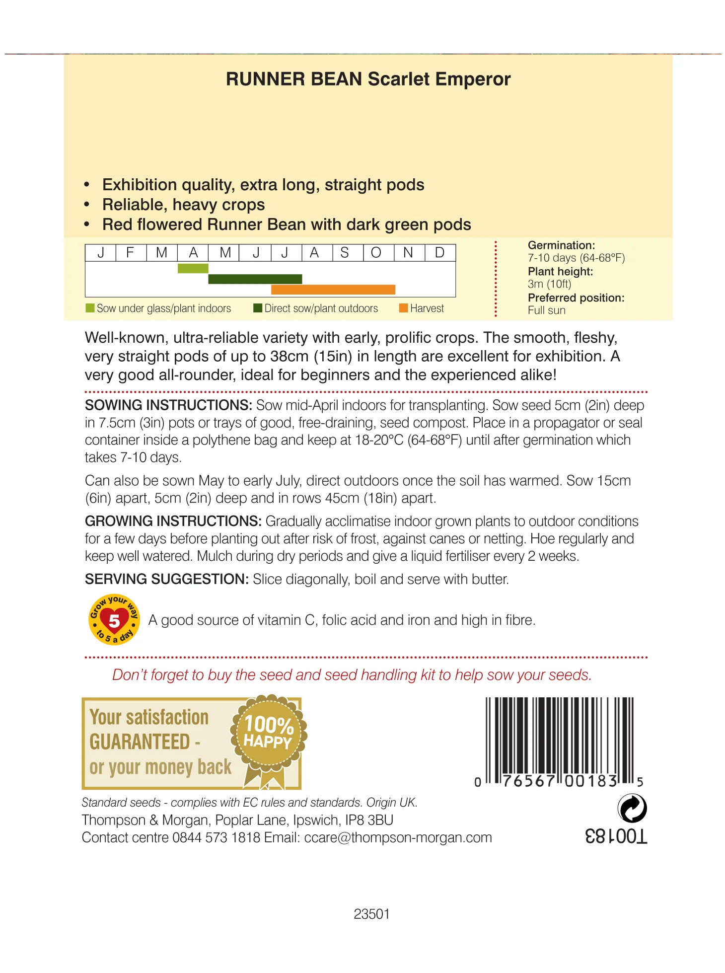 Runner Bean Scarlet Emperor- Pack of seeds - Image 2