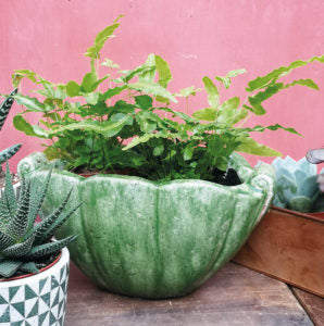 Shell Planter Verde