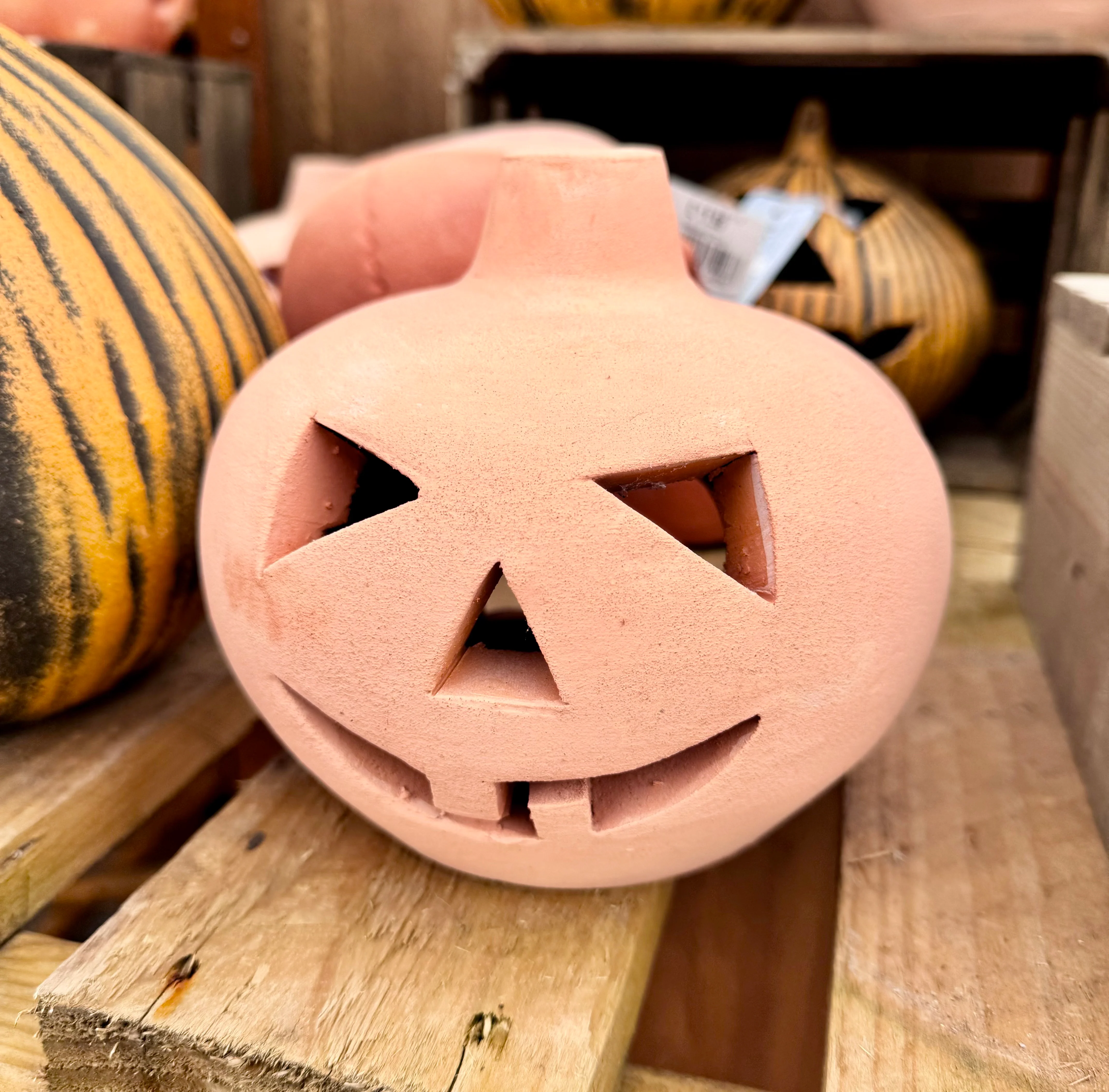 Halloween Small Cute Terracotta Pumpkin