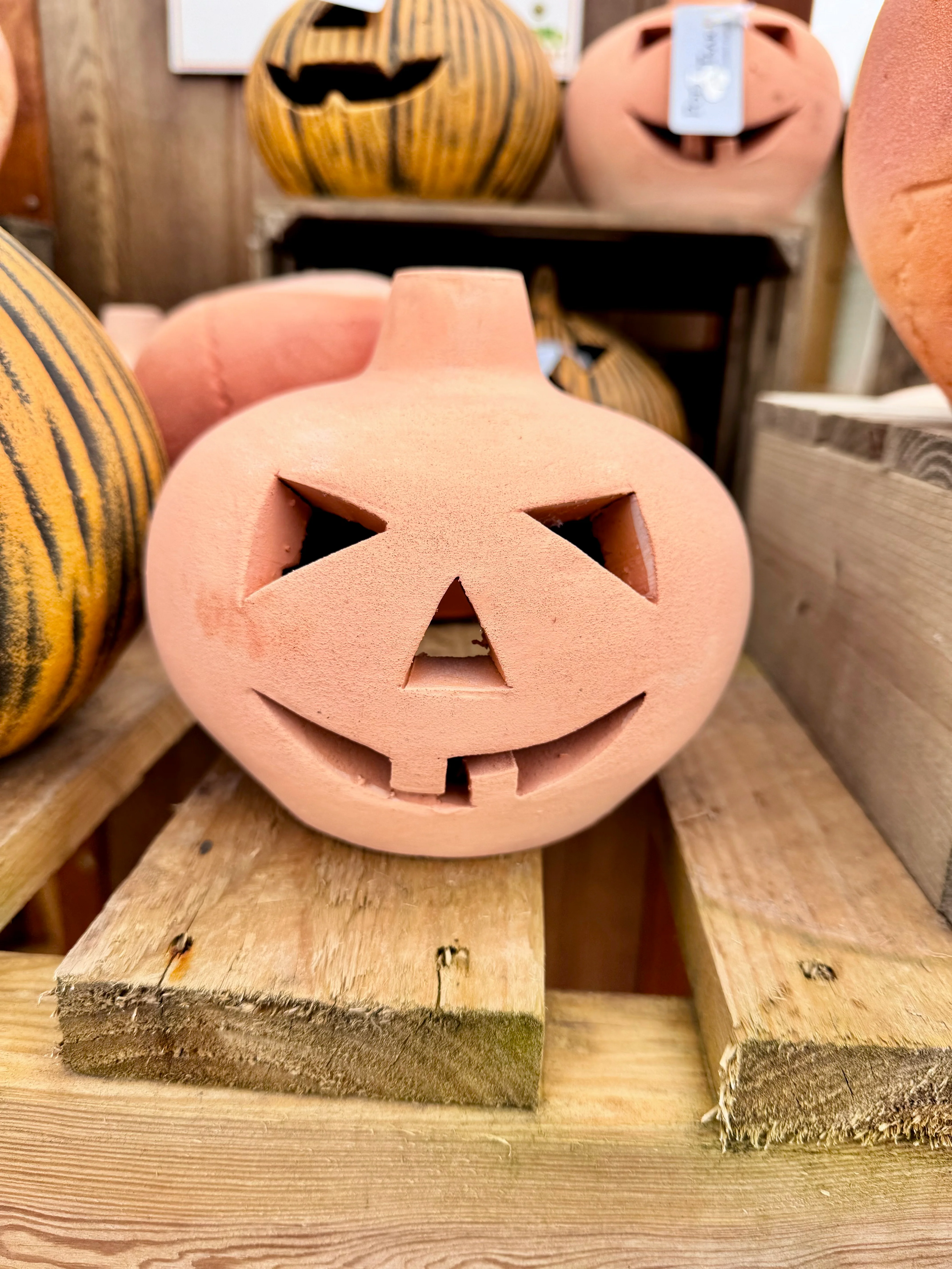 Halloween Small Cute Terracotta Pumpkin - Image 2