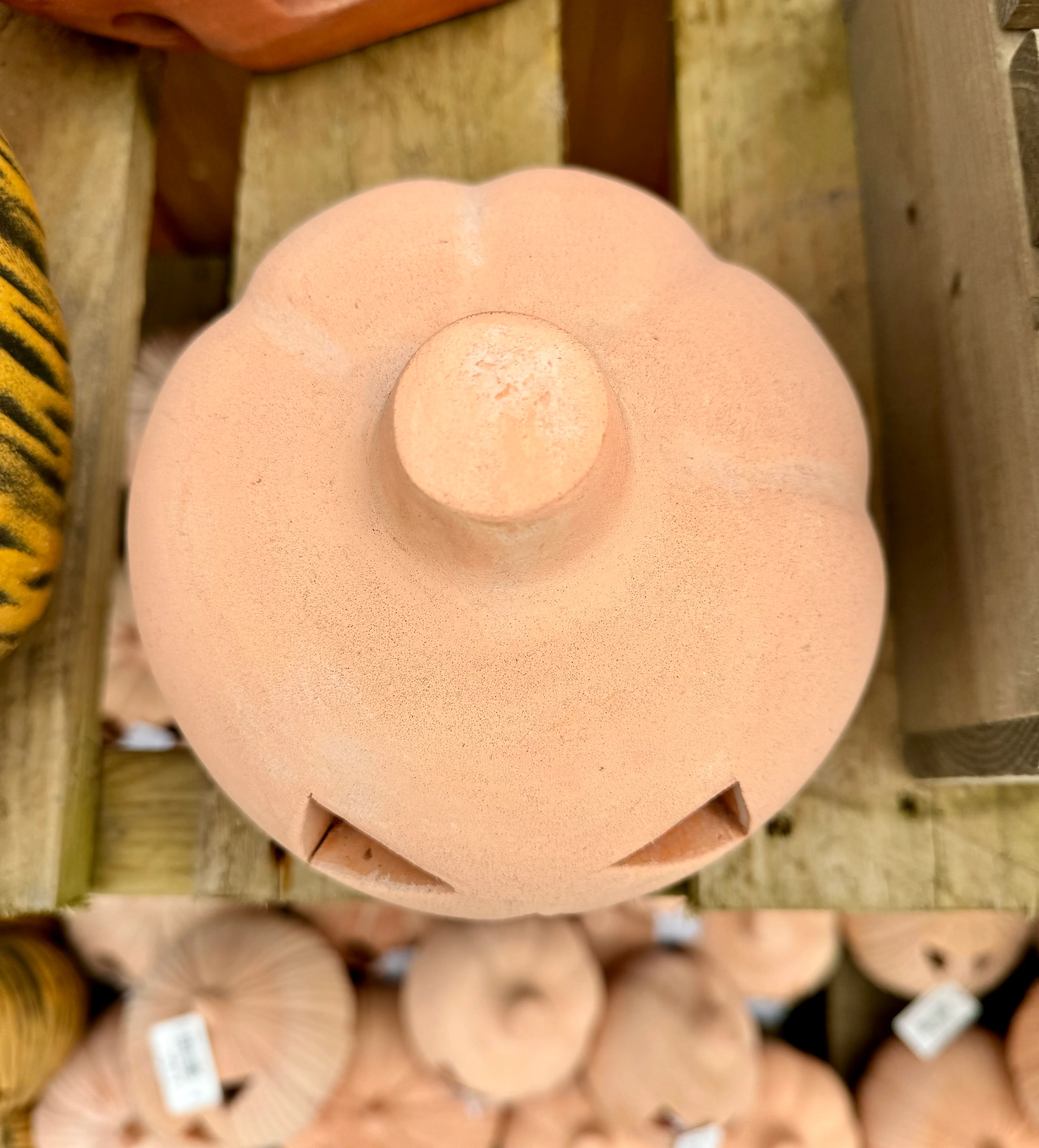 Halloween Small Cute Terracotta Pumpkin - Image 3