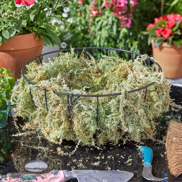 Smart Garden - Sphagnum Moss Basket Lining Large - Image 4