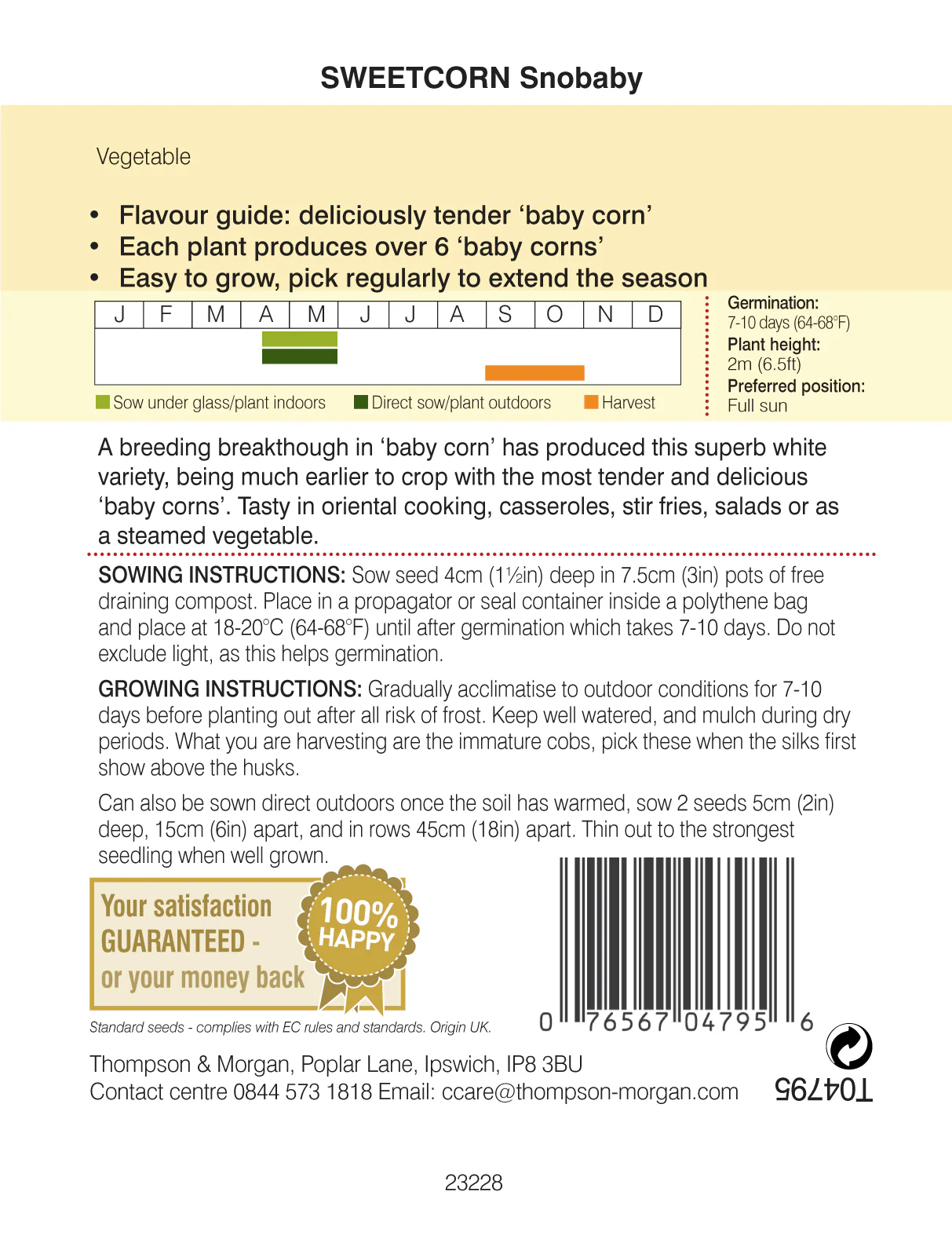Sweetcorn Snobaby - Pack of seeds - Image 2
