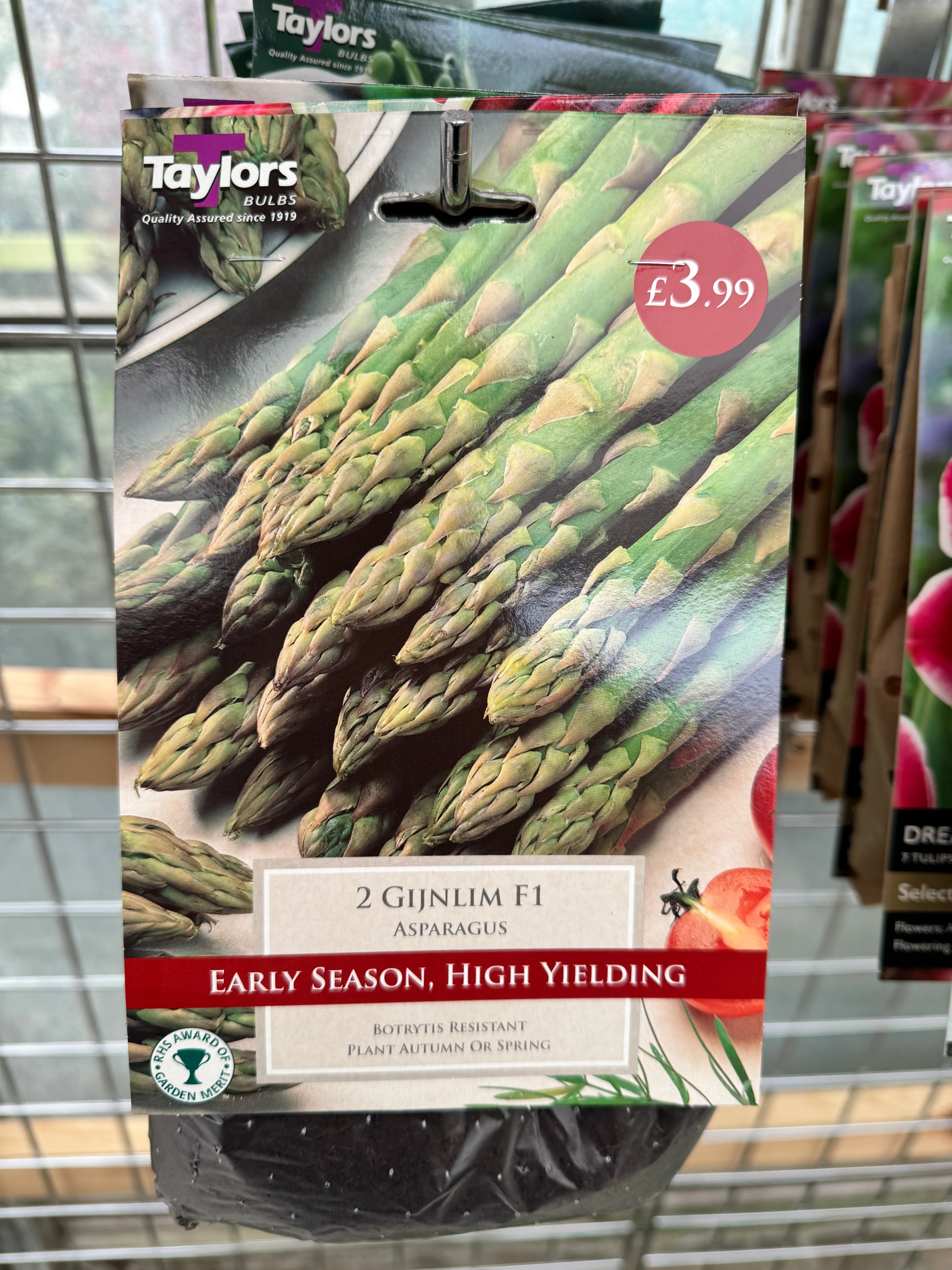 Taylors Bulbs - 2 Gijnlim F1 Asparagus Bulbs