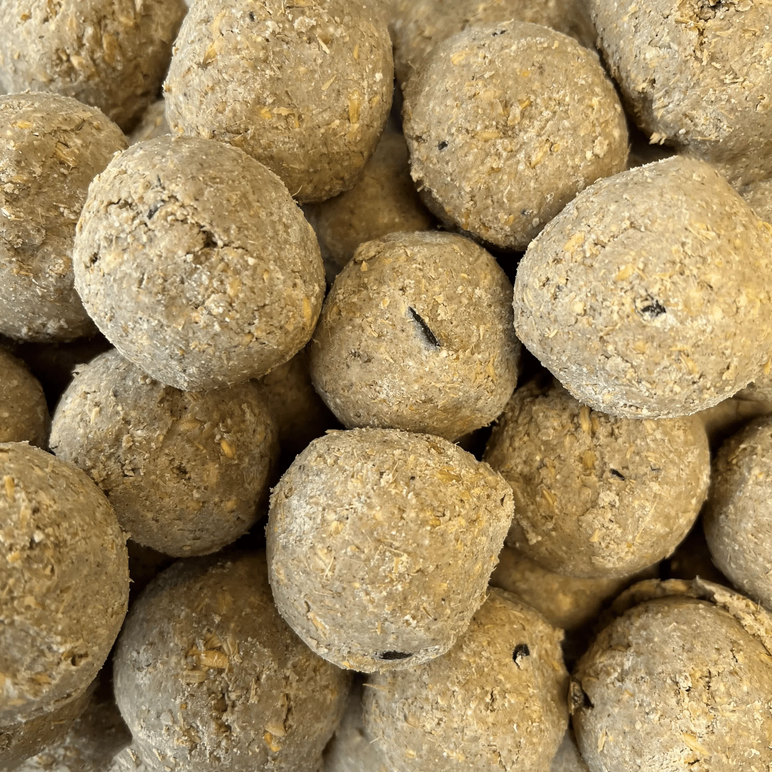 Tom Chambers - Premium 10 Pack of Extra Energy Fat Balls - 800g